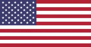 american flag-Layton
